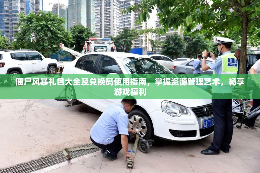 僵尸风暴礼包大全及兑换码使用指南，掌握资源管理艺术，畅享游戏福利