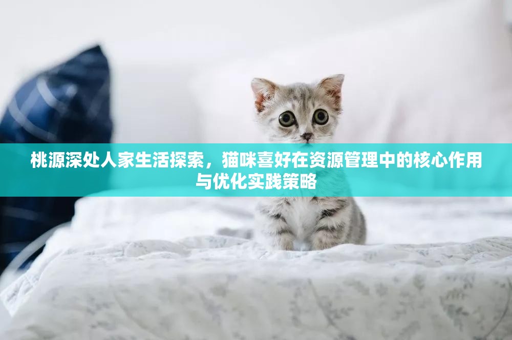 桃源深处人家生活探索，猫咪喜好在资源管理中的核心作用与优化实践策略