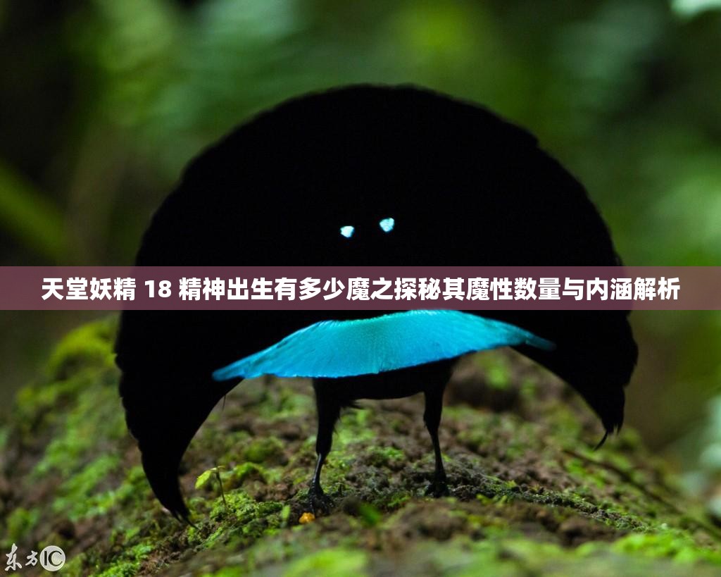 天堂妖精 18 精神出生有多少魔之探秘其魔性数量与内涵解析