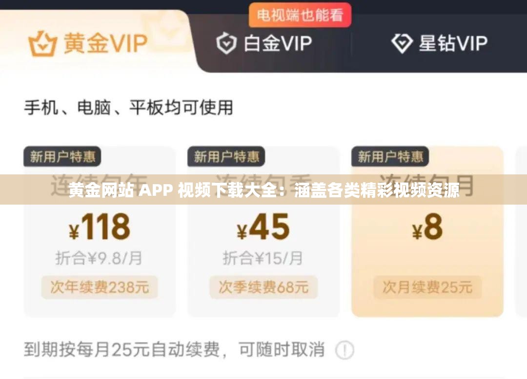 黄金网站 APP 视频下载大全：涵盖各类精彩视频资源