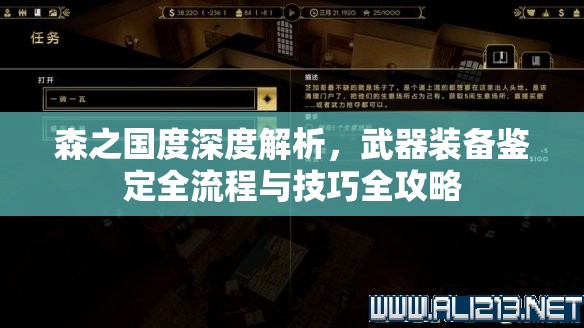 森之国度深度解析，武器装备鉴定全流程与技巧全攻略