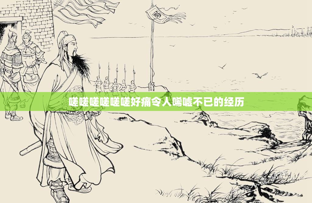 嗟嗟嗟嗟嗟嗟好痛令人唏嘘不已的经历