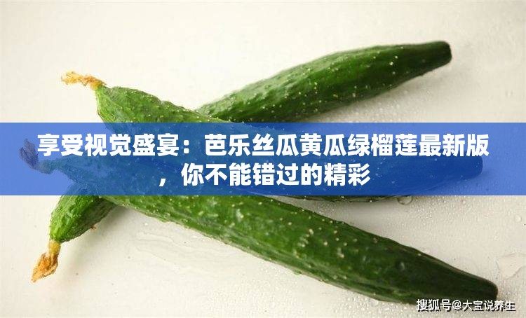 享受视觉盛宴：芭乐丝瓜黄瓜绿榴莲最新版，你不能错过的精彩