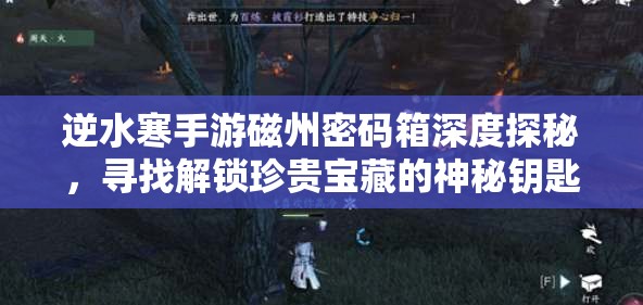 逆水寒手游磁州密码箱深度探秘，寻找解锁珍贵宝藏的神秘钥匙