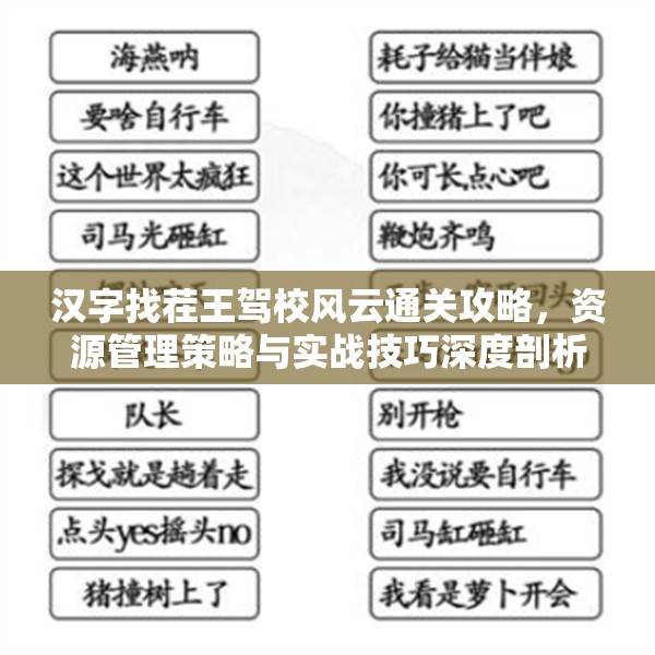 汉字找茬王驾校风云通关攻略，资源管理策略与实战技巧深度剖析
