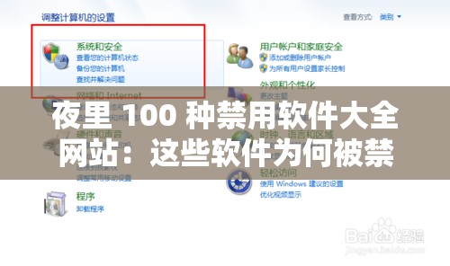 夜里 100 种禁用软件大全网站：这些软件为何被禁用的详细解析