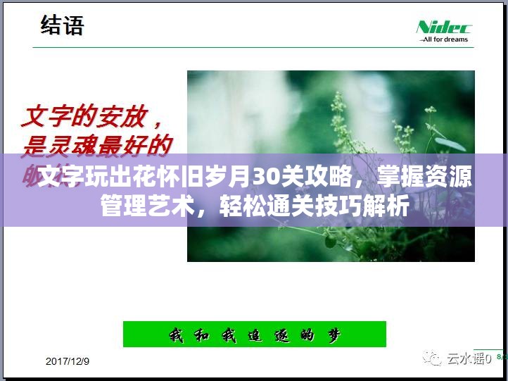 文字玩出花怀旧岁月30关攻略，掌握资源管理艺术，轻松通关技巧解析