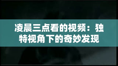 凌晨三点看的视频：独特视角下的奇妙发现