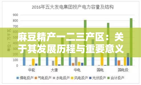 麻豆精产一二三产区：关于其发展历程与重要意义的探讨