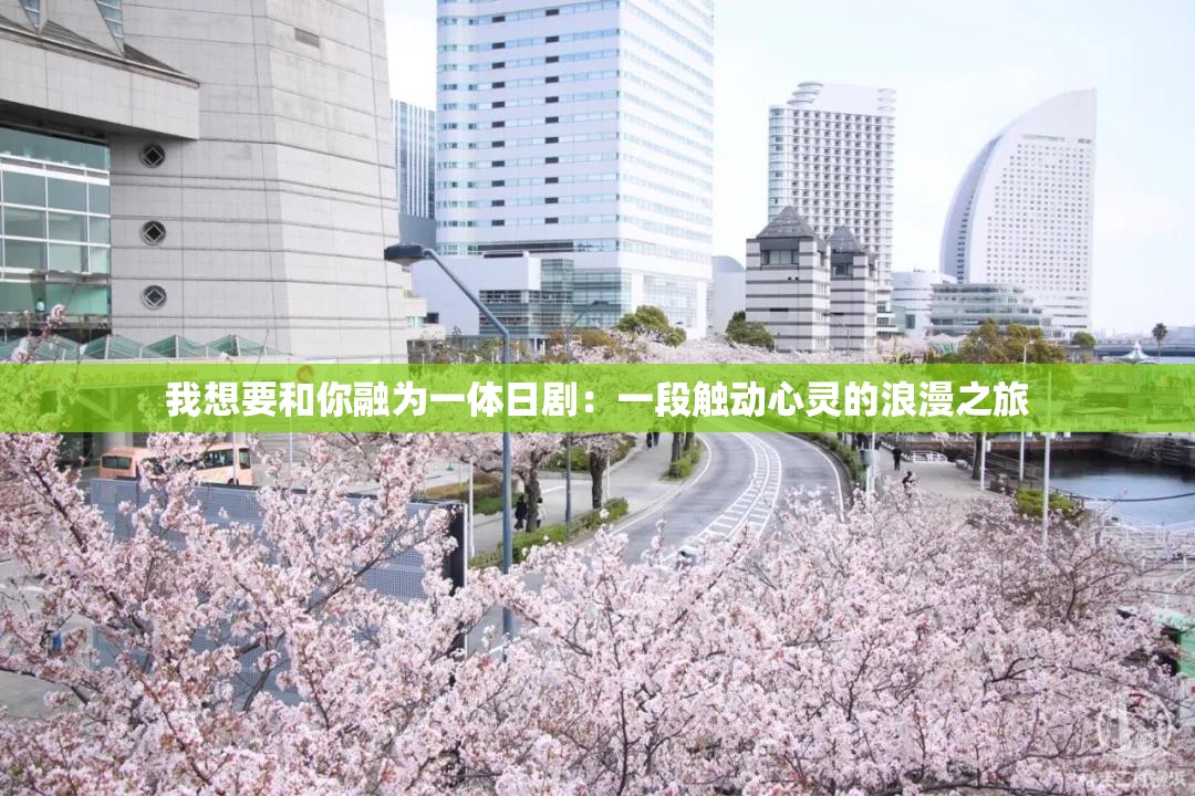 我想要和你融为一体日剧：一段触动心灵的浪漫之旅