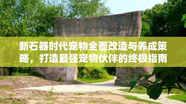 新石器时代宠物全面改造与养成策略，打造最强宠物伙伴的终极指南