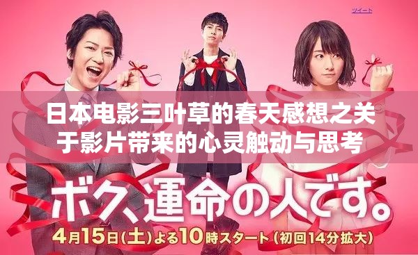 日本电影三叶草的春天感想之关于影片带来的心灵触动与思考