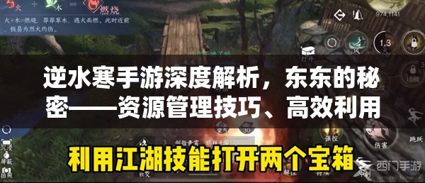逆水寒手游深度解析，东东的秘密——资源管理技巧、高效利用策略及避免浪费指南