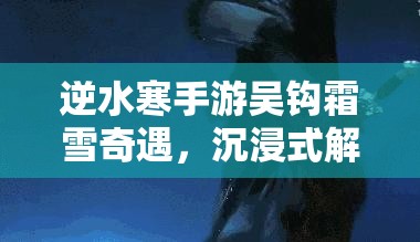 逆水寒手游吴钩霜雪奇遇，沉浸式解锁你的武侠梦想与传奇之旅