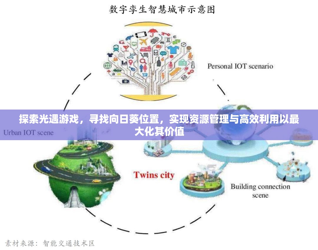 探索光遇游戏，寻找向日葵位置，实现资源管理与高效利用以最大化其价值