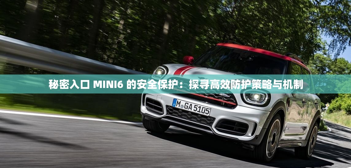秘密入口 MINI6 的安全保护：探寻高效防护策略与机制