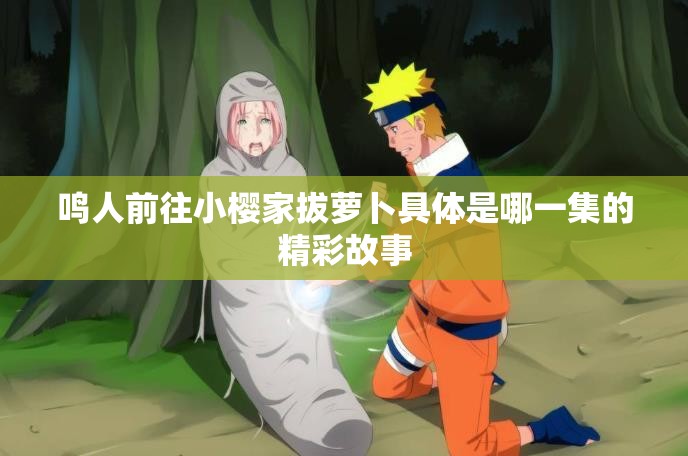 鸣人前往小樱家拔萝卜具体是哪一集的精彩故事