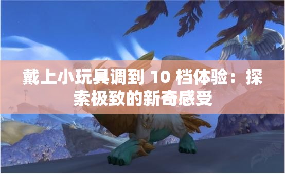 戴上小玩具调到 10 档体验：探索极致的新奇感受