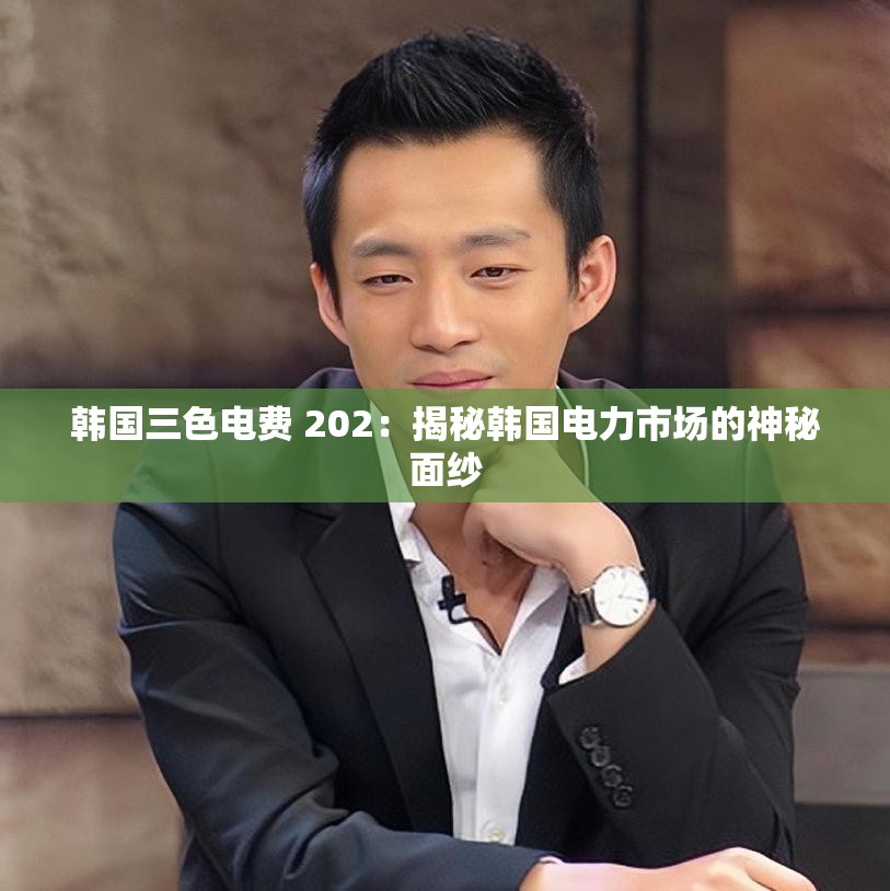 韩国三色电费 202：揭秘韩国电力市场的神秘面纱