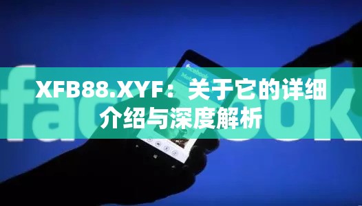 XFB88.XYF：关于它的详细介绍与深度解析