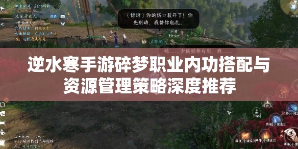 逆水寒手游碎梦职业内功搭配与资源管理策略深度推荐