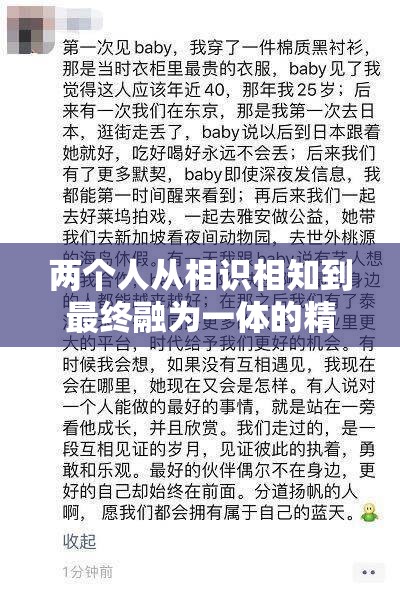 两个人从相识相知到最终融为一体的精彩历程