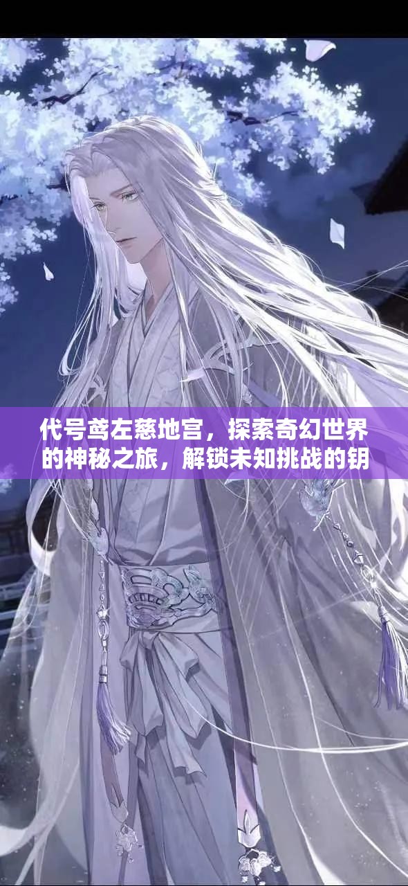 代号鸢左慈地宫，探索奇幻世界的神秘之旅，解锁未知挑战的钥匙