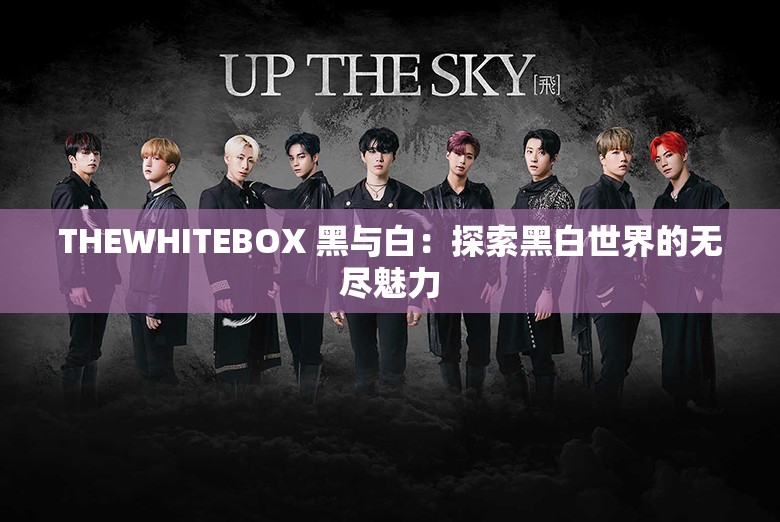 THEWHITEBOX 黑与白：探索黑白世界的无尽魅力