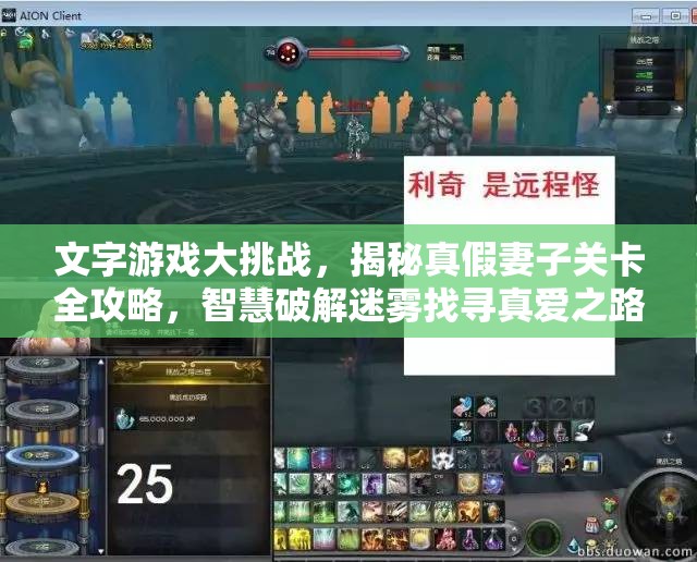 文字游戏大挑战，揭秘真假妻子关卡全攻略，智慧破解迷雾找寻真爱之路