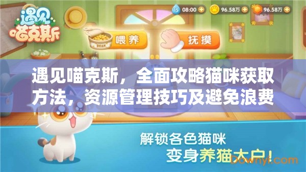 遇见喵克斯，全面攻略猫咪获取方法，资源管理技巧及避免浪费策略