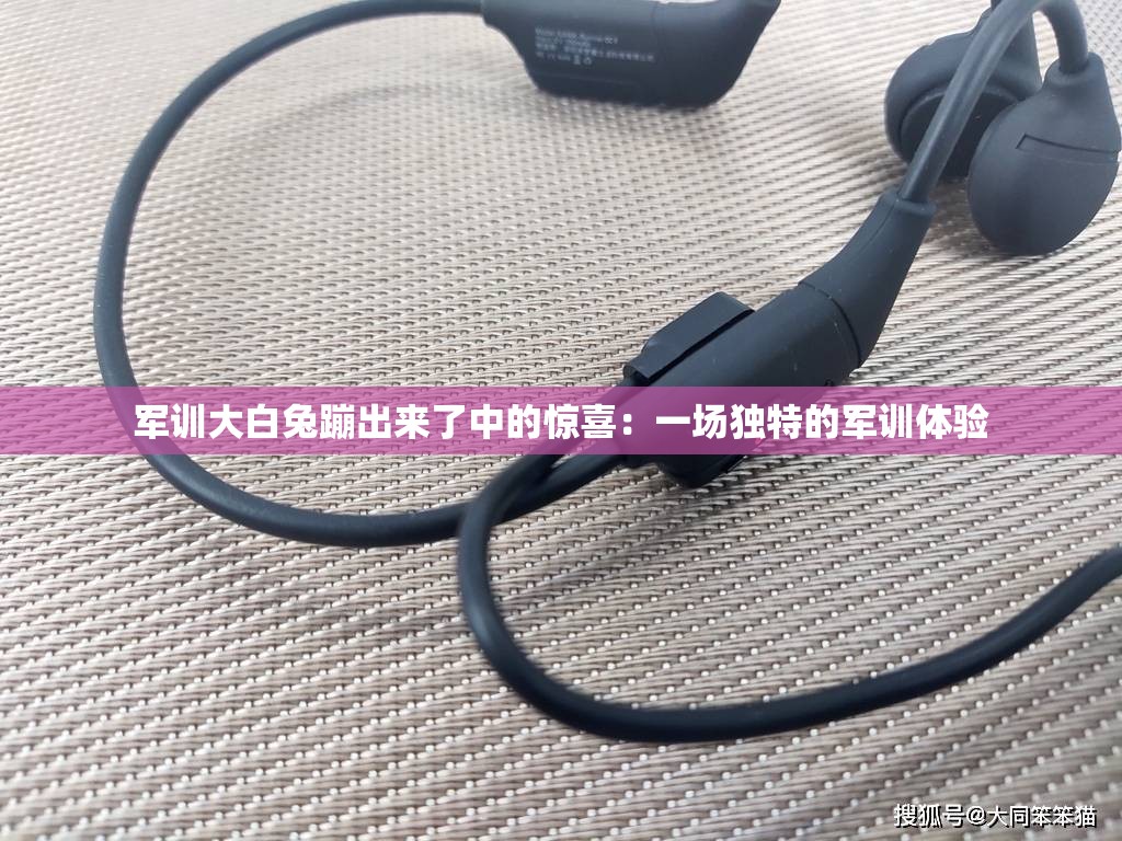 军训大白兔蹦出来了中的惊喜：一场独特的军训体验