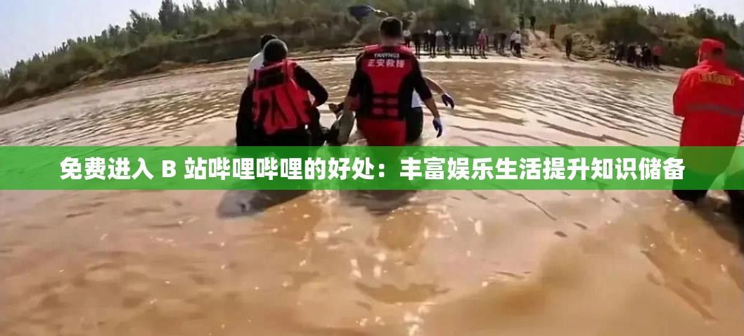 免费进入 B 站哔哩哔哩的好处：丰富娱乐生活提升知识储备