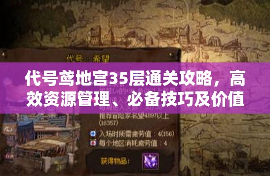 代号鸢地宫35层通关攻略，高效资源管理、必备技巧及价值最大化策略