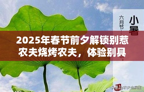 2025年春节前夕解锁别惹农夫烧烤农夫，体验别具一格的烧烤之旅