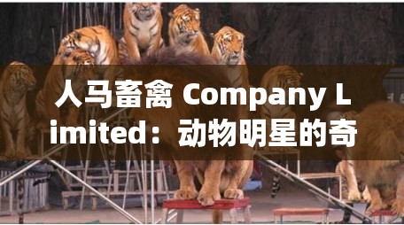 人马畜禽 Company Limited：动物明星的奇幻冒险：探索未知世界