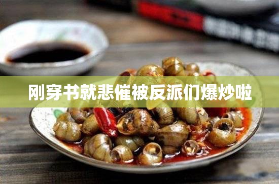 刚穿书就悲催被反派们爆炒啦