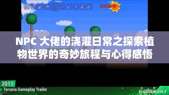 NPC 大佬的浇灌日常之探索植物世界的奇妙旅程与心得感悟