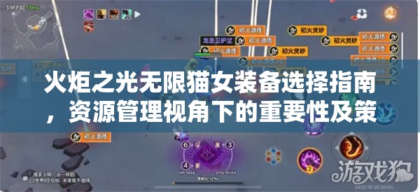 火炬之光无限猫女装备选择指南，资源管理视角下的重要性及策略推荐