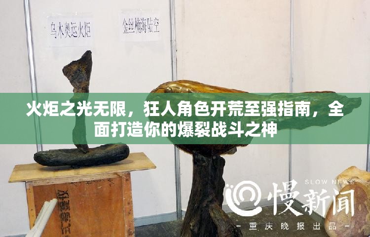 火炬之光无限，狂人角色开荒至强指南，全面打造你的爆裂战斗之神