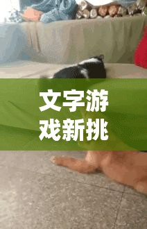 文字游戏新挑战，猫猫身价大比拼，全面解锁通关秘籍与技巧！