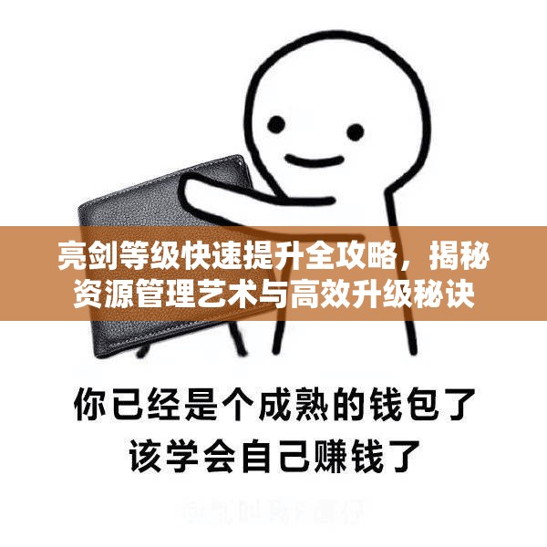 亮剑等级快速提升全攻略，揭秘资源管理艺术与高效升级秘诀