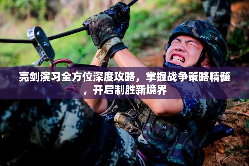 亮剑演习全方位深度攻略，掌握战争策略精髓，开启制胜新境界