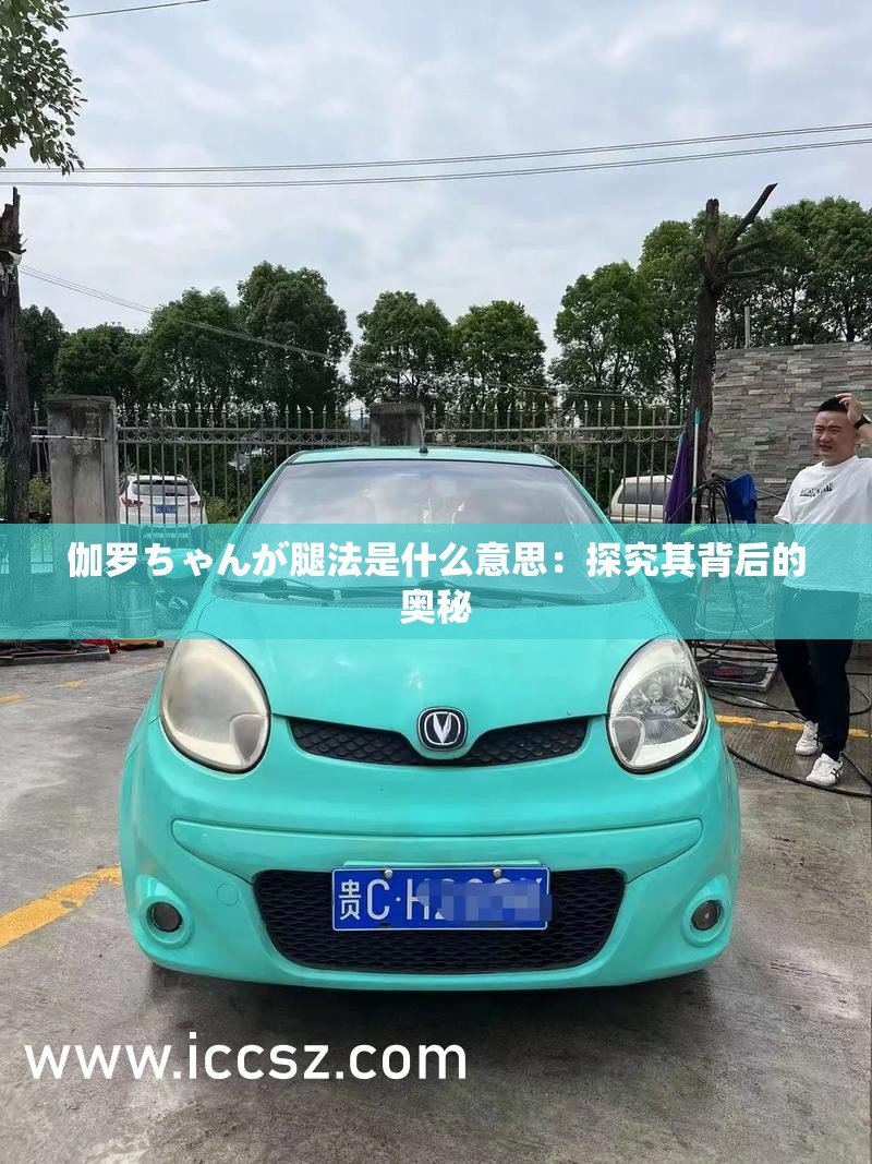 伽罗ちゃんが腿法是什么意思：探究其背后的奥秘