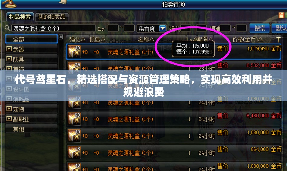 代号鸢星石，精选搭配与资源管理策略，实现高效利用并规避浪费