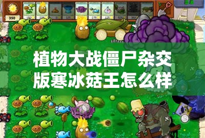 植物大战僵尸杂交版寒冰菇王怎么样：其强大威力与策略分析
