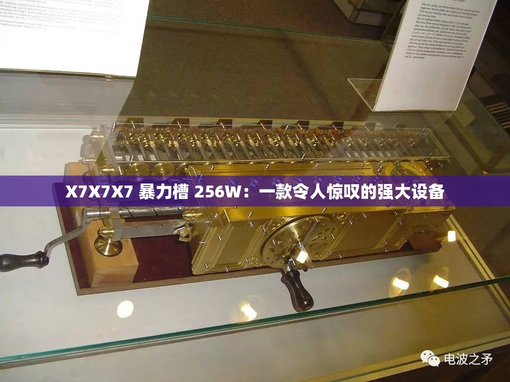 X7X7X7 暴力槽 256W：一款令人惊叹的强大设备