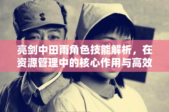 亮剑中田雨角色技能解析，在资源管理中的核心作用与高效运用策略
