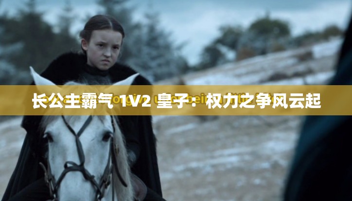 长公主霸气 1V2 皇子：权力之争风云起