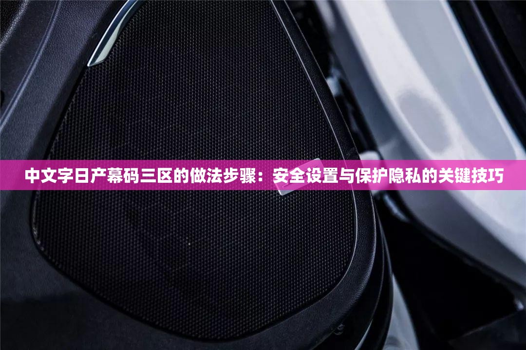 中文字日产幕码三区的做法步骤：安全设置与保护隐私的关键技巧