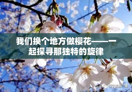 我们换个地方做樱花——一起探寻那独特的旋律